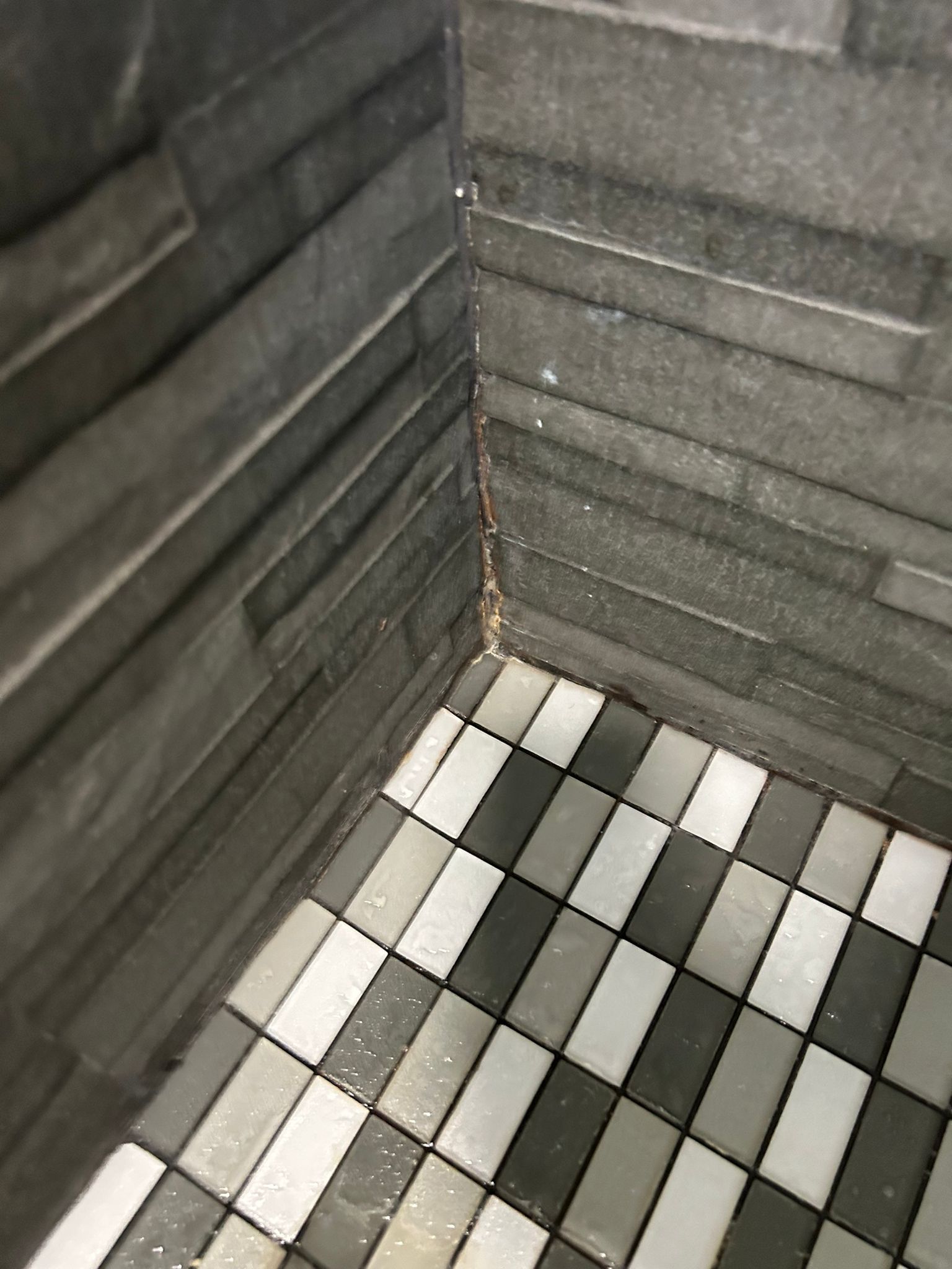Bathroom Before