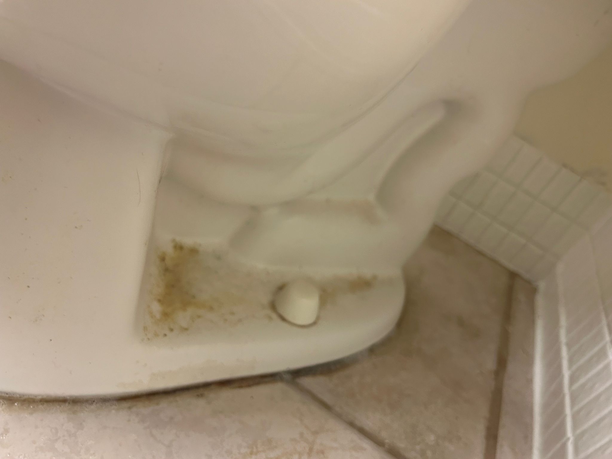 Bathroom Before