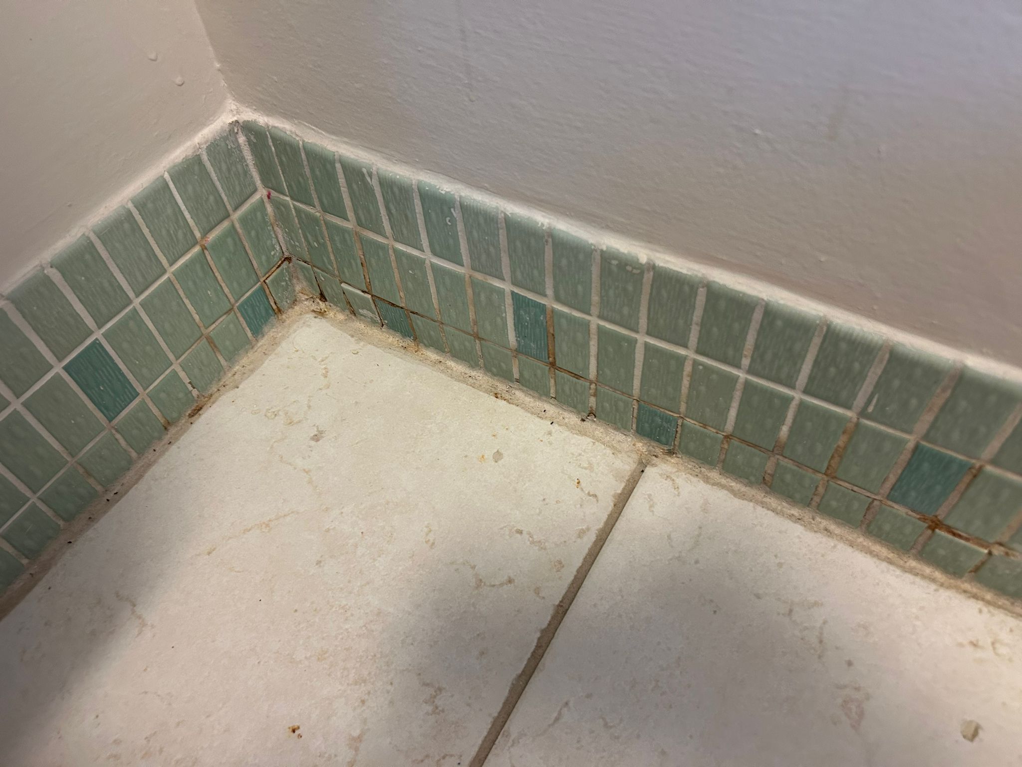 Bathroom Before